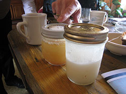 Jars of oil rendered from sea lion left and harbor seal right Akutan 2009