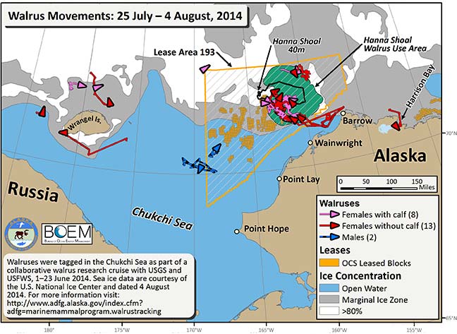 Requested Walrus Tracking Map