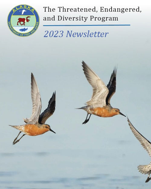 2023 Newsletter