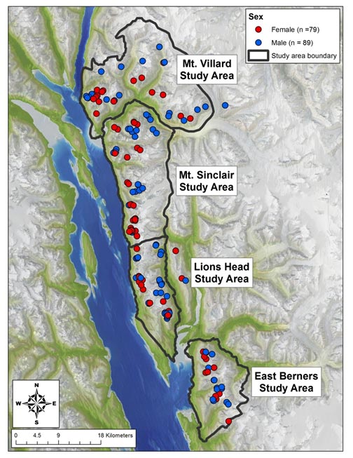 Figure 2 Map describing where mountain goats have been captured in the Lynn Canal study area 20052012