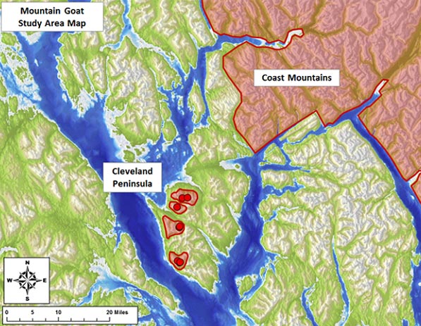 Figure 3 Map of the Cleveland Peninsula study area showing the location where mountain goats were captured