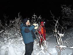 Using the ForwardLooking Infrared FLIR sensor that under suitable conditions can detect denning polar bears by the infrared radiation heat they give off in the den