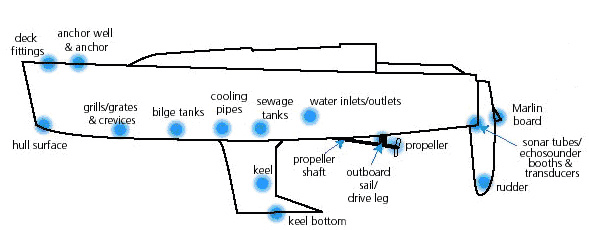 Areas on vessels likely to accumulate fouling communities of nonnative organisms