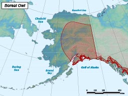 Boreal Owl range map