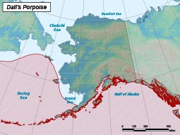 Dall's Porpoise range map