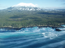 Herring spawn near Sitka