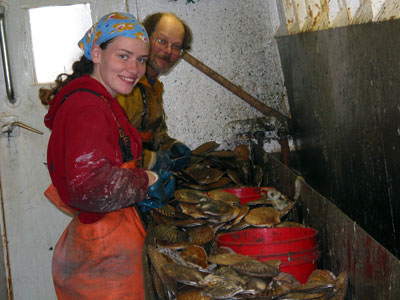 Photo of a Weathervane Scallop