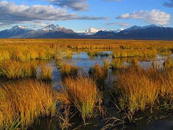 Cottonwood Creek in Southcentral Alaska