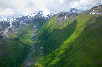 Kodiak refuge in Kodiak