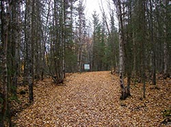 Skilak Lake trail
