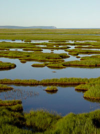Safety Sound estuary