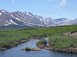 Kigluaik Mts from Grand Central River