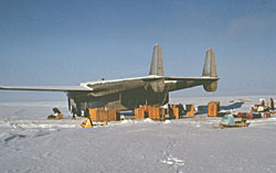 Boxes of muskox awaiting release