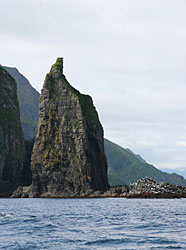 Sea birds and sea lions can be spotted on the shores near Priest Rock