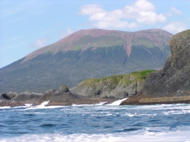 photo of Sitka area wildlife