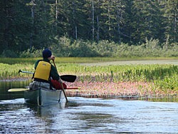 Mouth of Summit Lake