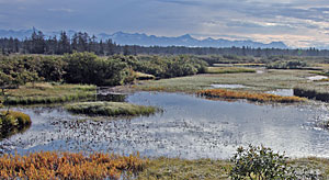 Tawah Creek with Mt Fairweather in the distance